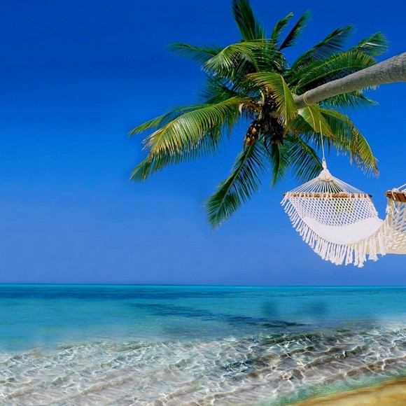 islandgirly1010